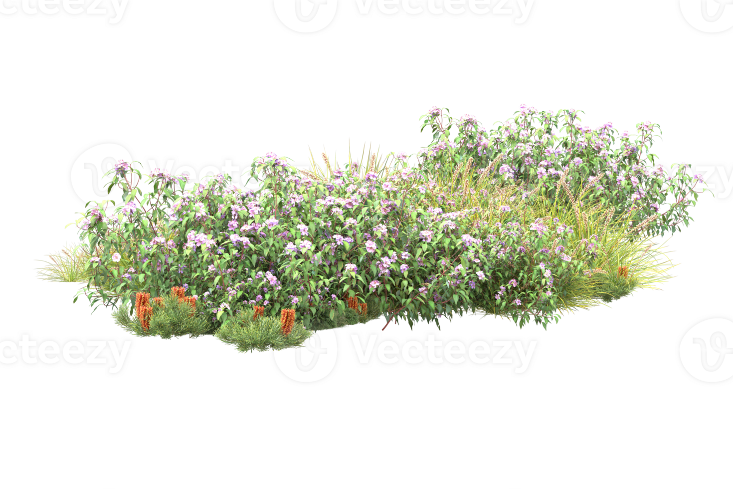 Realistic forest isolated on transparent background. 3d rendering - illustration png
