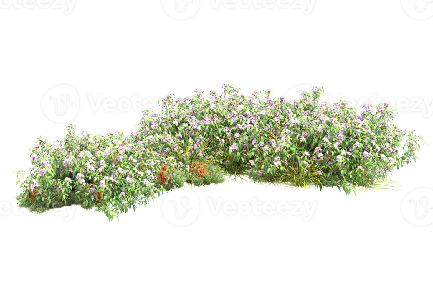 Realistic forest isolated on transparent background. 3d rendering - illustration png