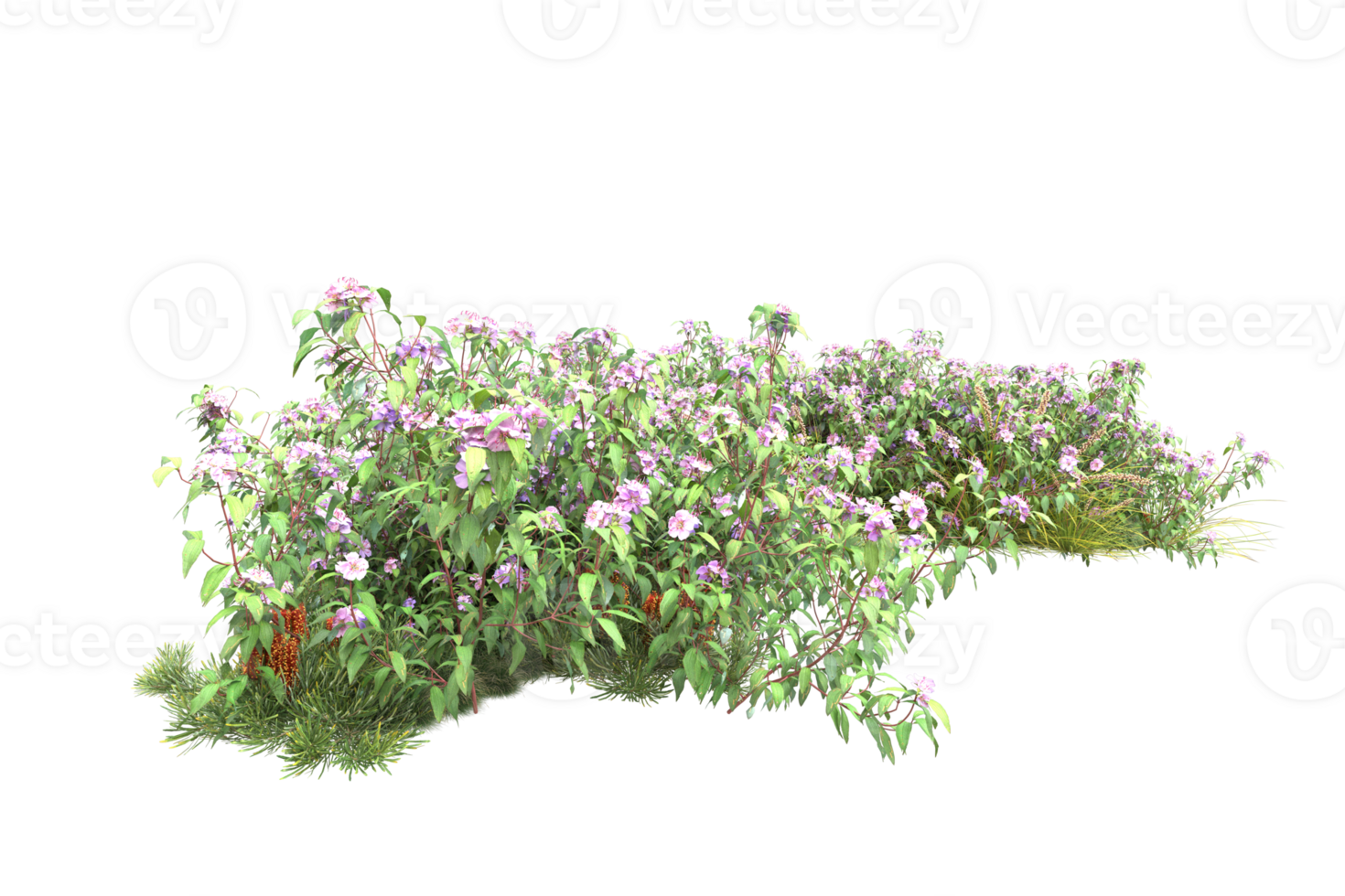 Realistic forest isolated on transparent background. 3d rendering - illustration png