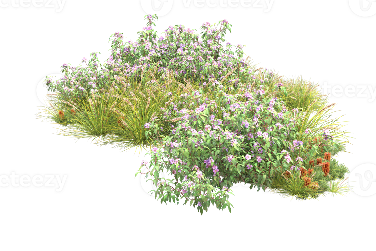 Realistic forest isolated on transparent background. 3d rendering - illustration png