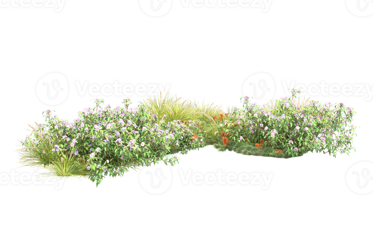 Realistic forest isolated on transparent background. 3d rendering - illustration png