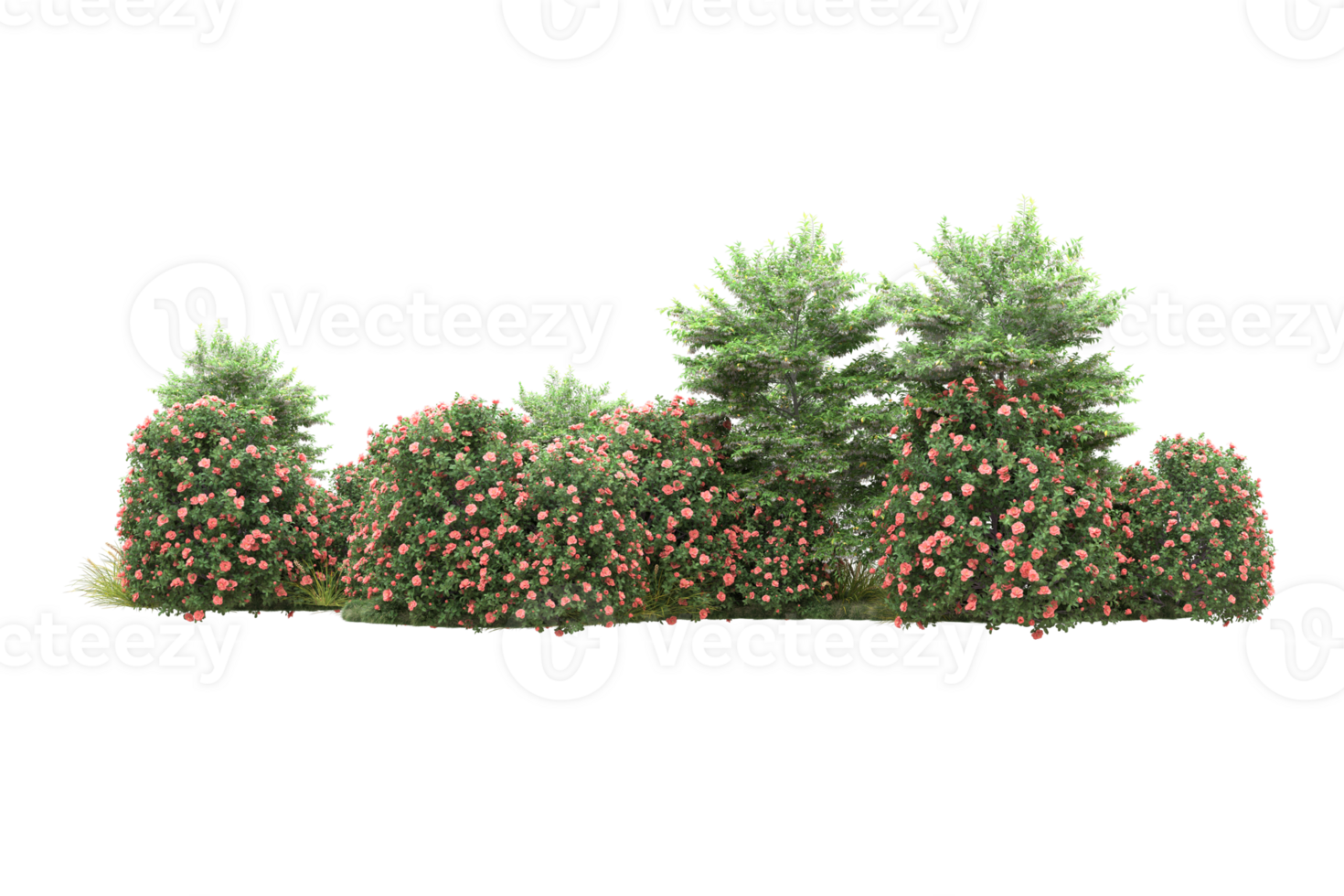 Realistic forest isolated on transparent background. 3d rendering - illustration png