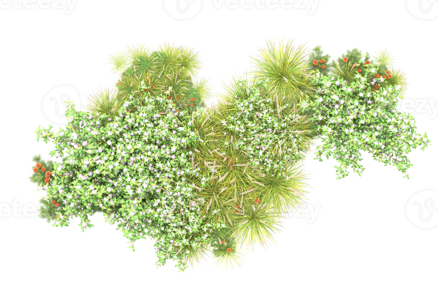 Realistic forest isolated on transparent background. 3d rendering - illustration png