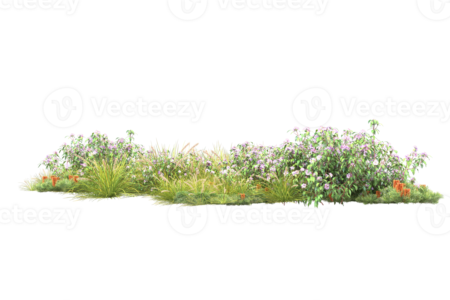 Realistic forest isolated on transparent background. 3d rendering - illustration png