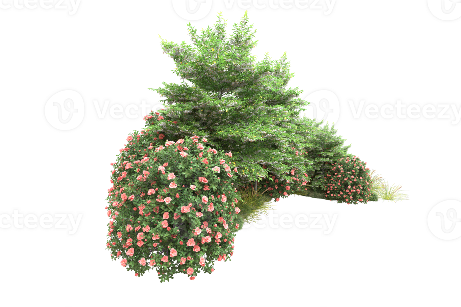 Realistic forest isolated on transparent background. 3d rendering - illustration png