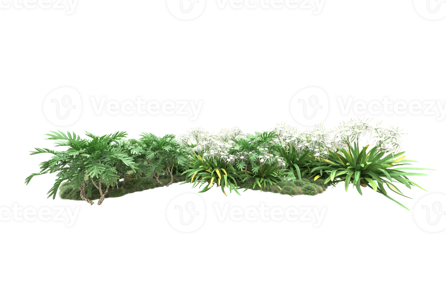 Realistic forest isolated on transparent background. 3d rendering - illustration png