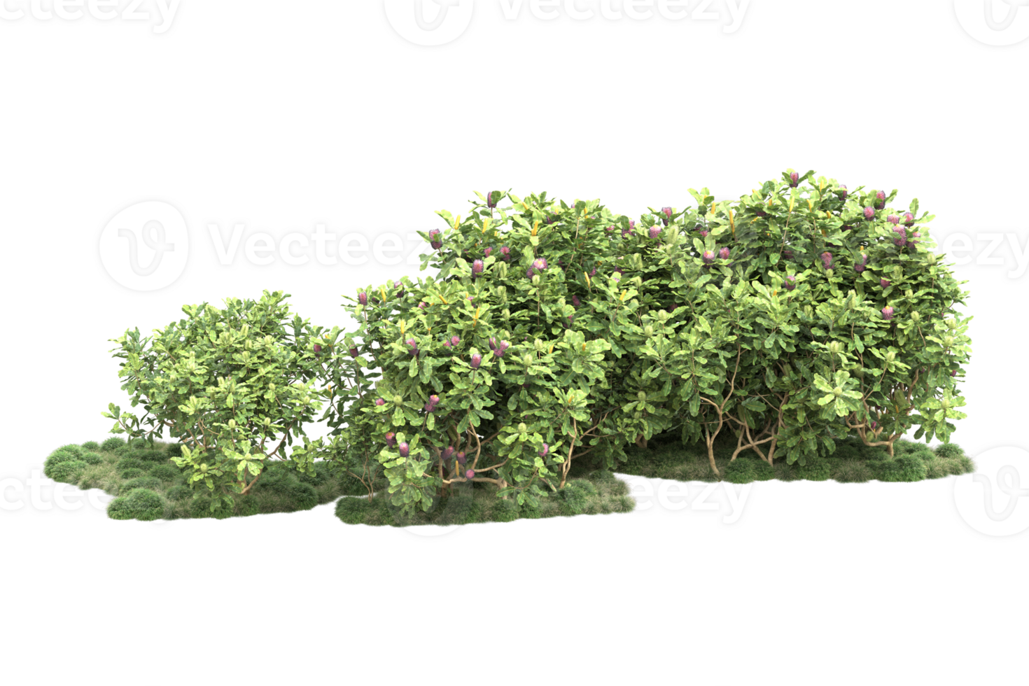Realistic forest isolated on transparent background. 3d rendering - illustration png