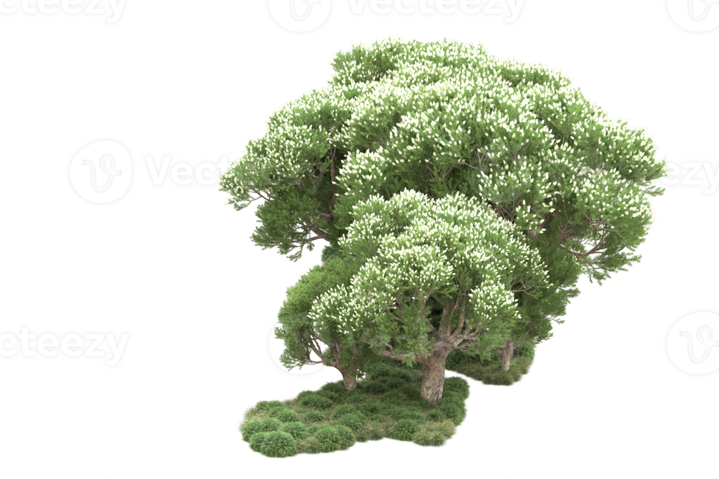 Realistic forest isolated on transparent background. 3d rendering - illustration png