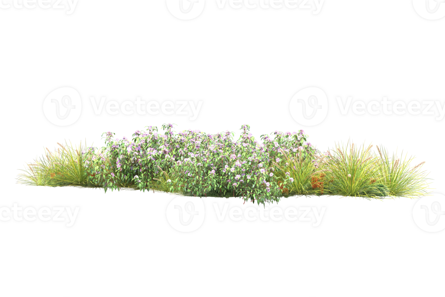 Realistic forest isolated on transparent background. 3d rendering - illustration png
