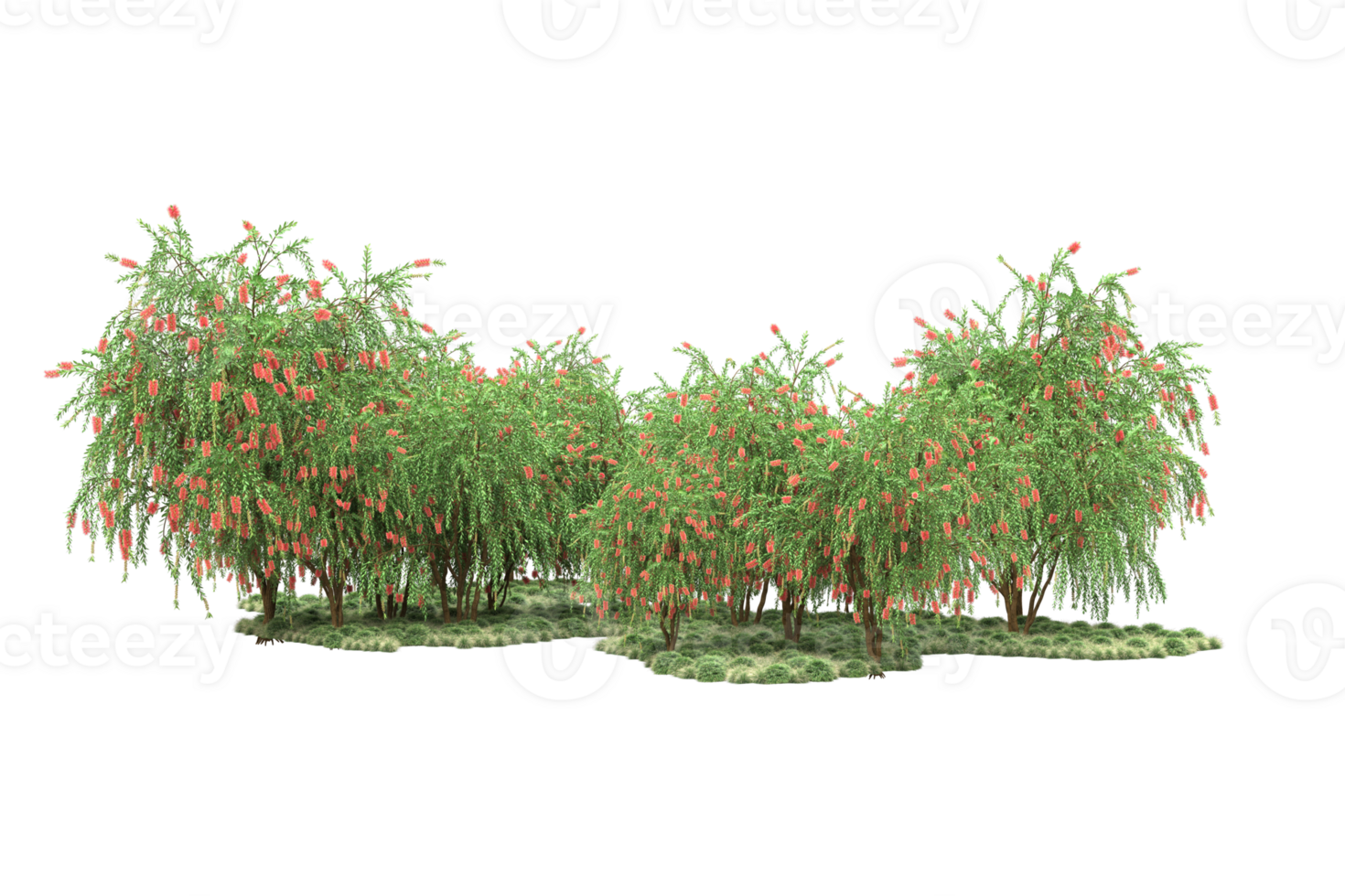 Realistic forest isolated on transparent background. 3d rendering - illustration png