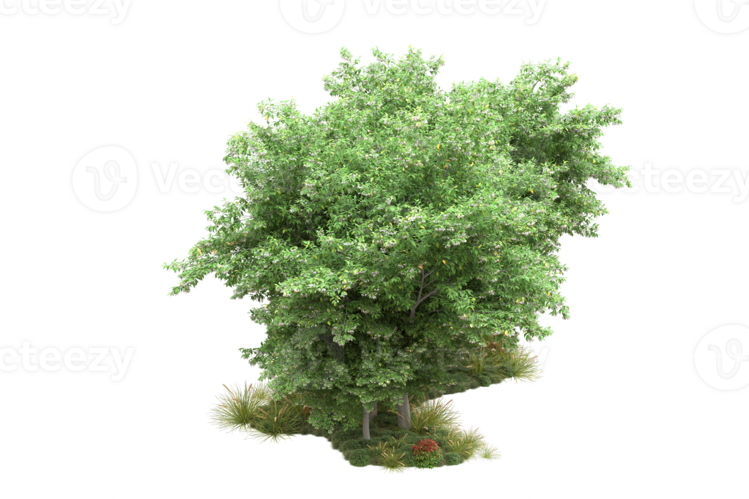 Realistic forest isolated on transparent background. 3d rendering - illustration png