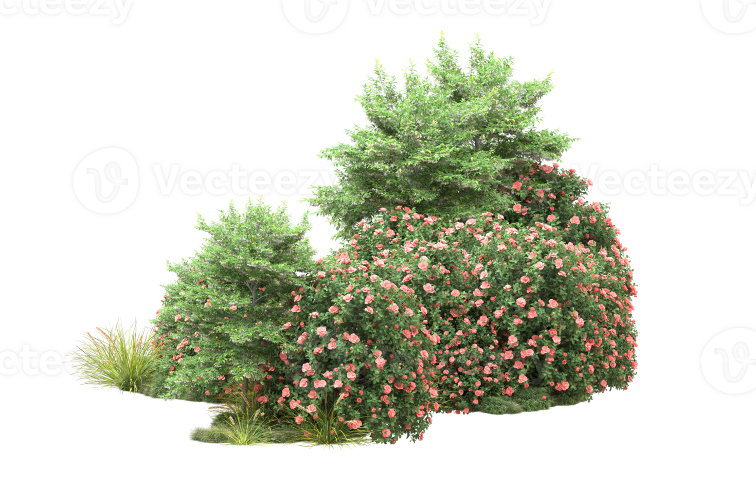 Realistic forest isolated on transparent background. 3d rendering - illustration png