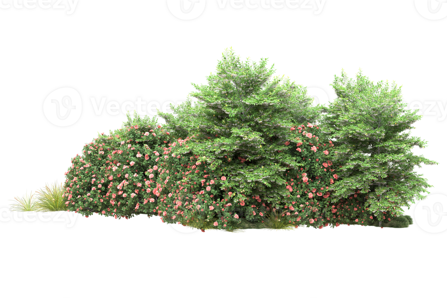Realistic forest isolated on transparent background. 3d rendering - illustration png