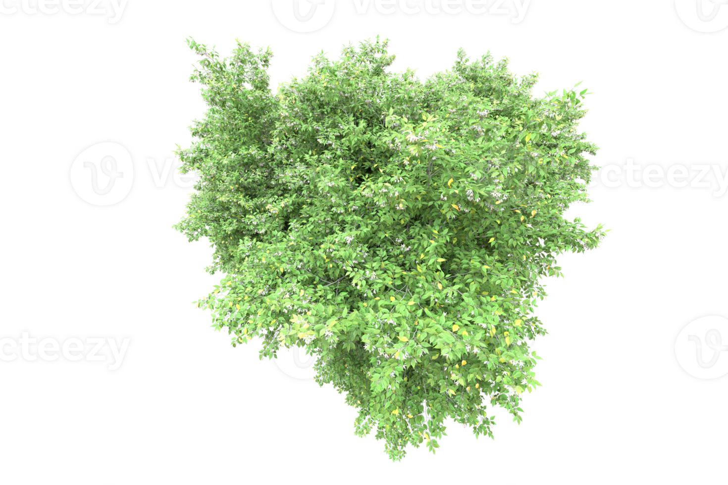 Realistic forest isolated on transparent background. 3d rendering - illustration png