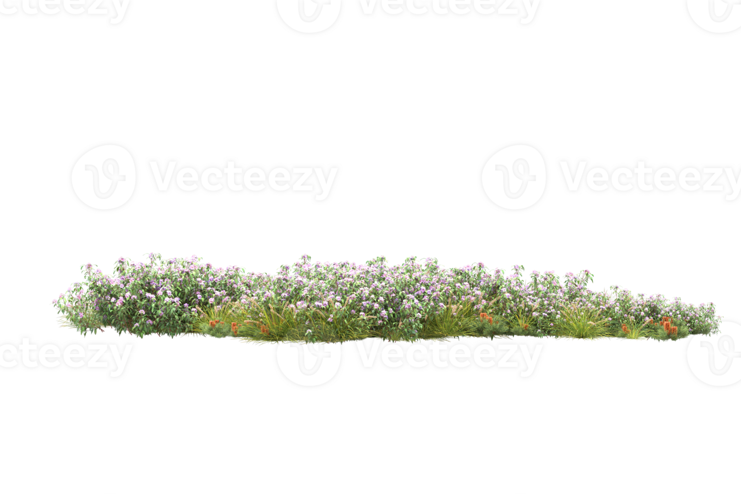 Realistic forest isolated on transparent background. 3d rendering - illustration png