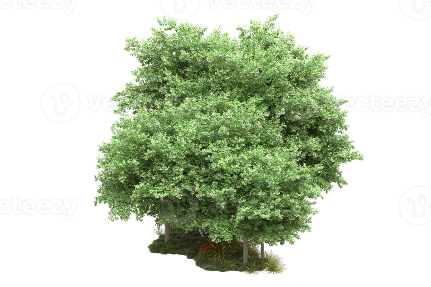 Realistic forest isolated on transparent background. 3d rendering - illustration png