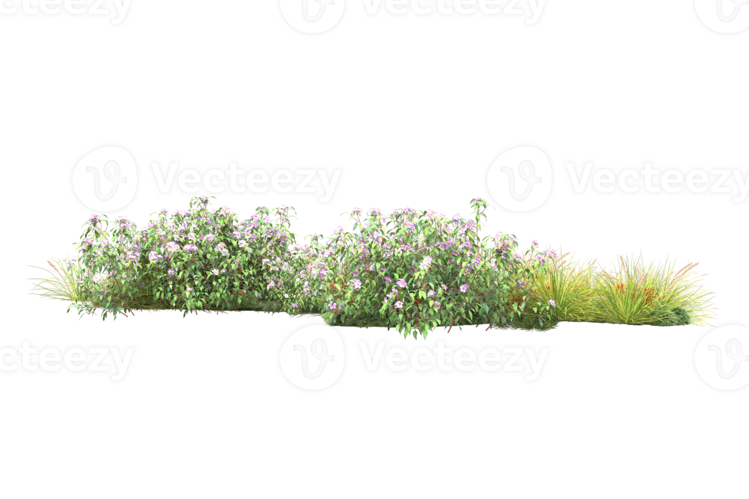 Realistic forest isolated on transparent background. 3d rendering - illustration png