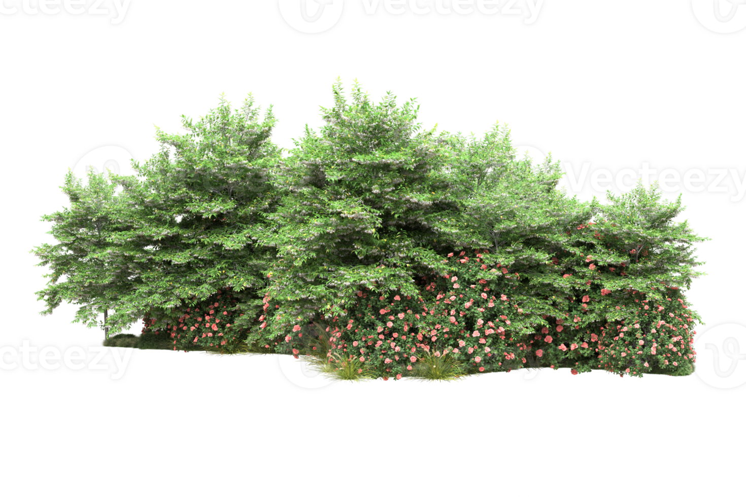 Realistic forest isolated on transparent background. 3d rendering - illustration png