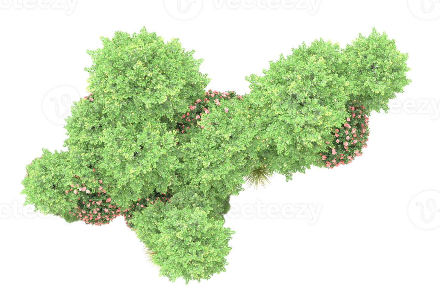 Realistic forest isolated on transparent background. 3d rendering - illustration png