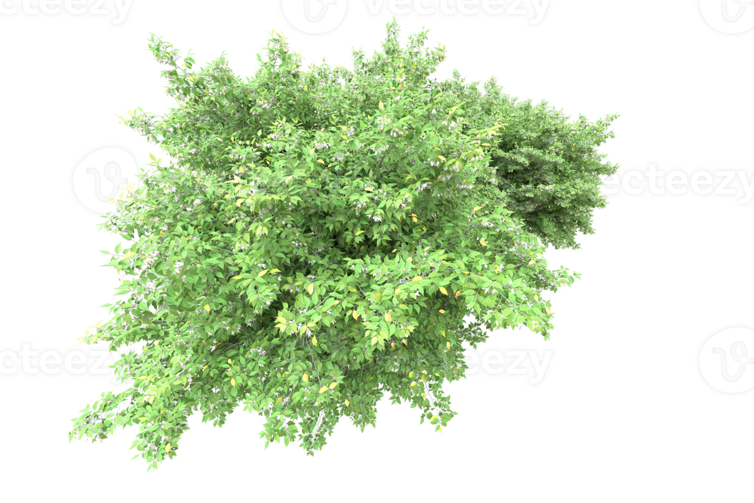 Realistic forest isolated on transparent background. 3d rendering - illustration png