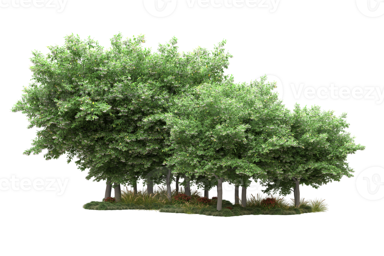 Realistic forest isolated on transparent background. 3d rendering - illustration png