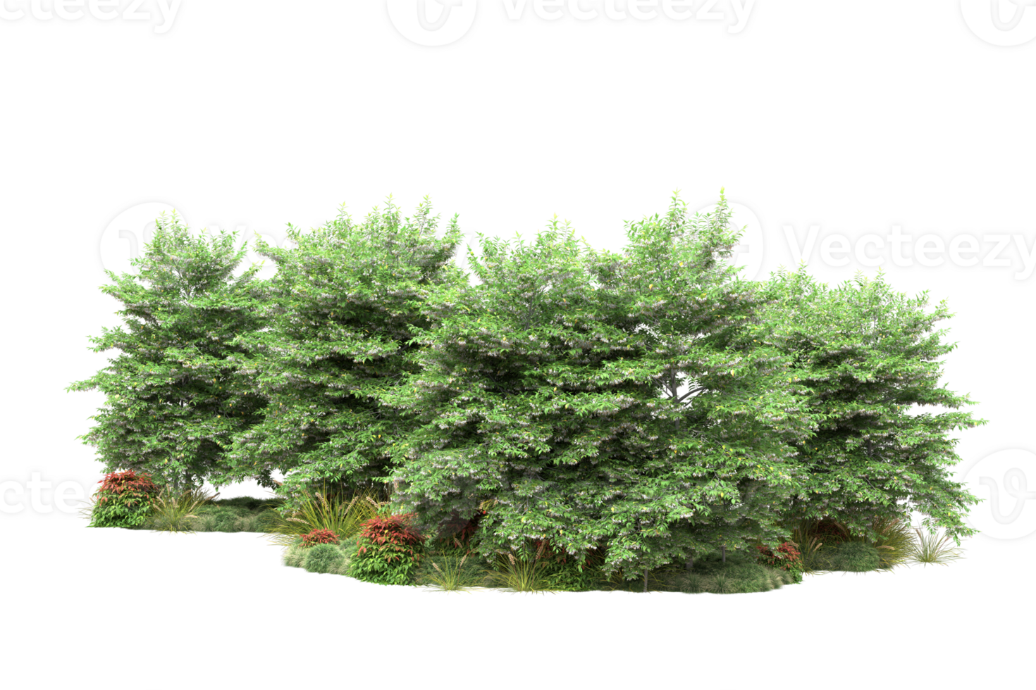 realistico foresta isolato su trasparente sfondo. 3d interpretazione - illustrazione png