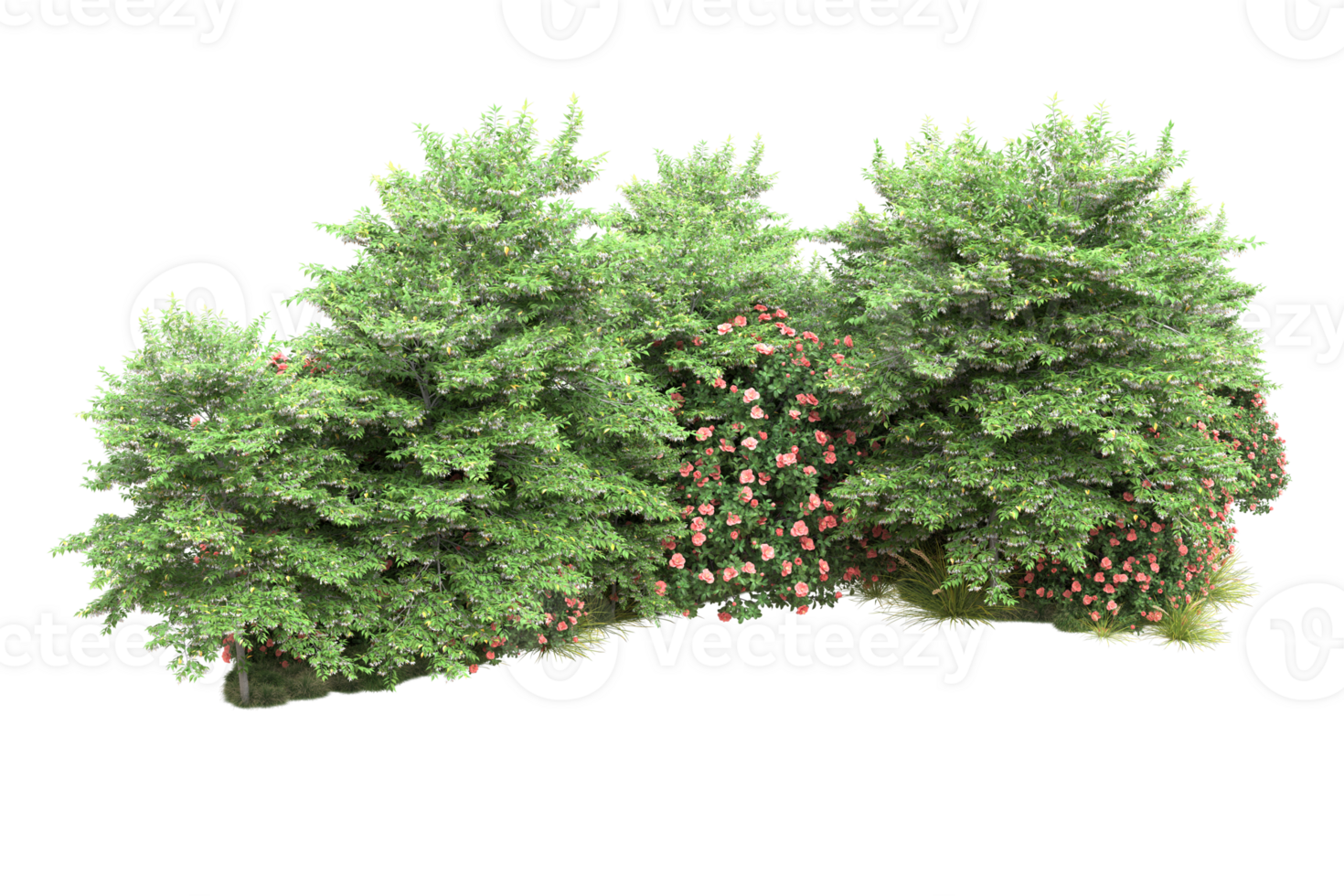 Realistic forest isolated on transparent background. 3d rendering - illustration png