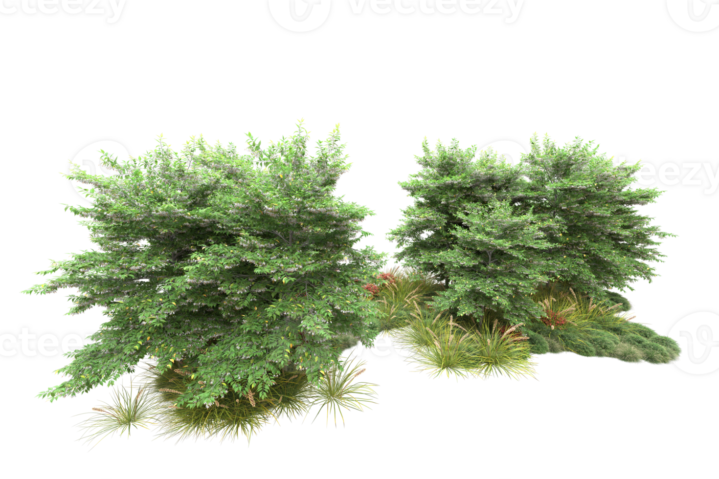 Realistic forest isolated on transparent background. 3d rendering - illustration png