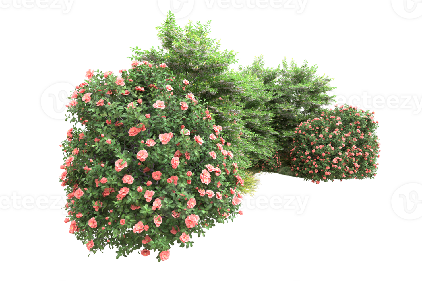 Realistic forest isolated on transparent background. 3d rendering - illustration png