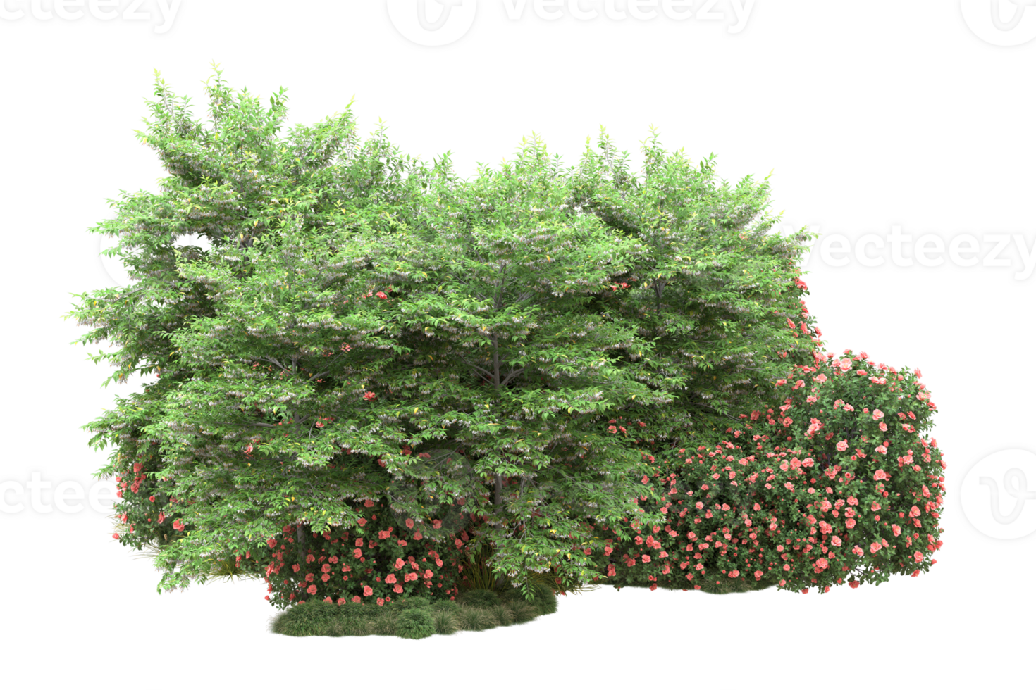 Realistic forest isolated on transparent background. 3d rendering - illustration png