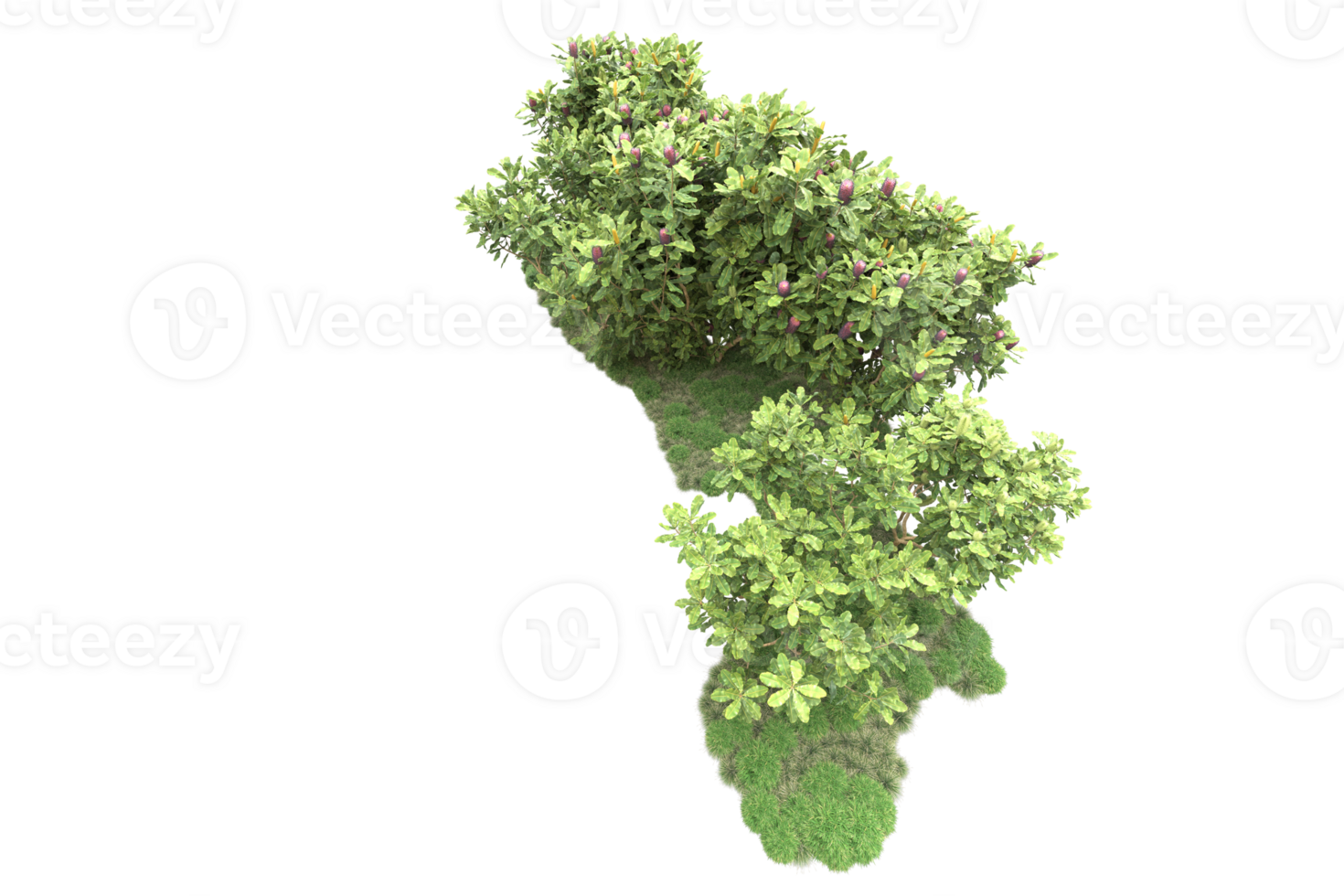 Realistic forest isolated on transparent background. 3d rendering - illustration png