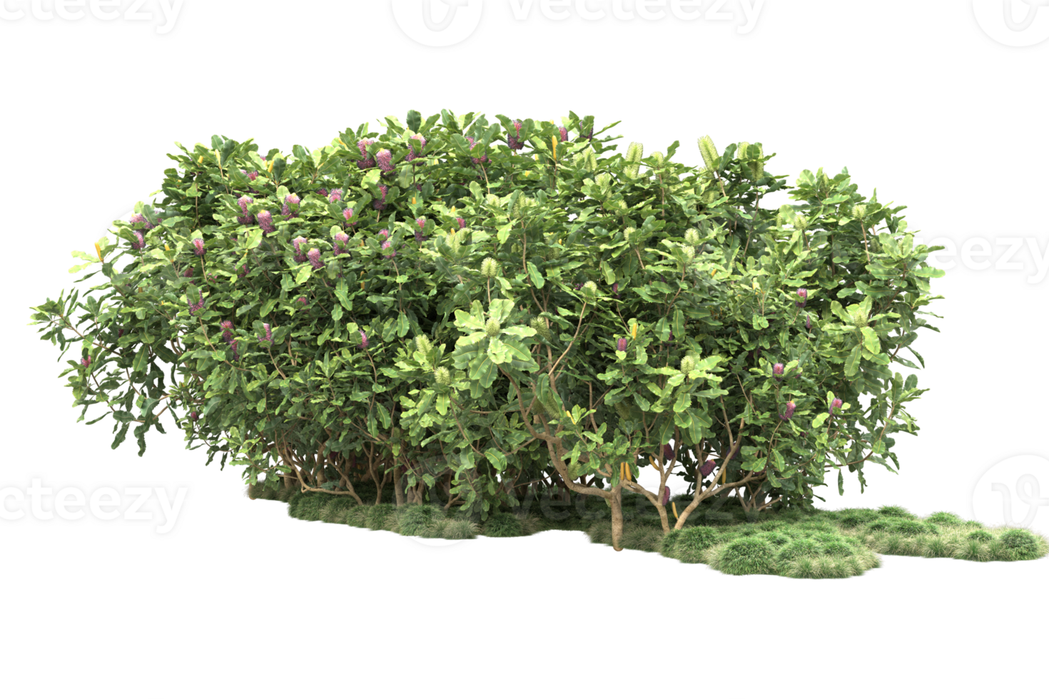 Realistic forest isolated on transparent background. 3d rendering - illustration png