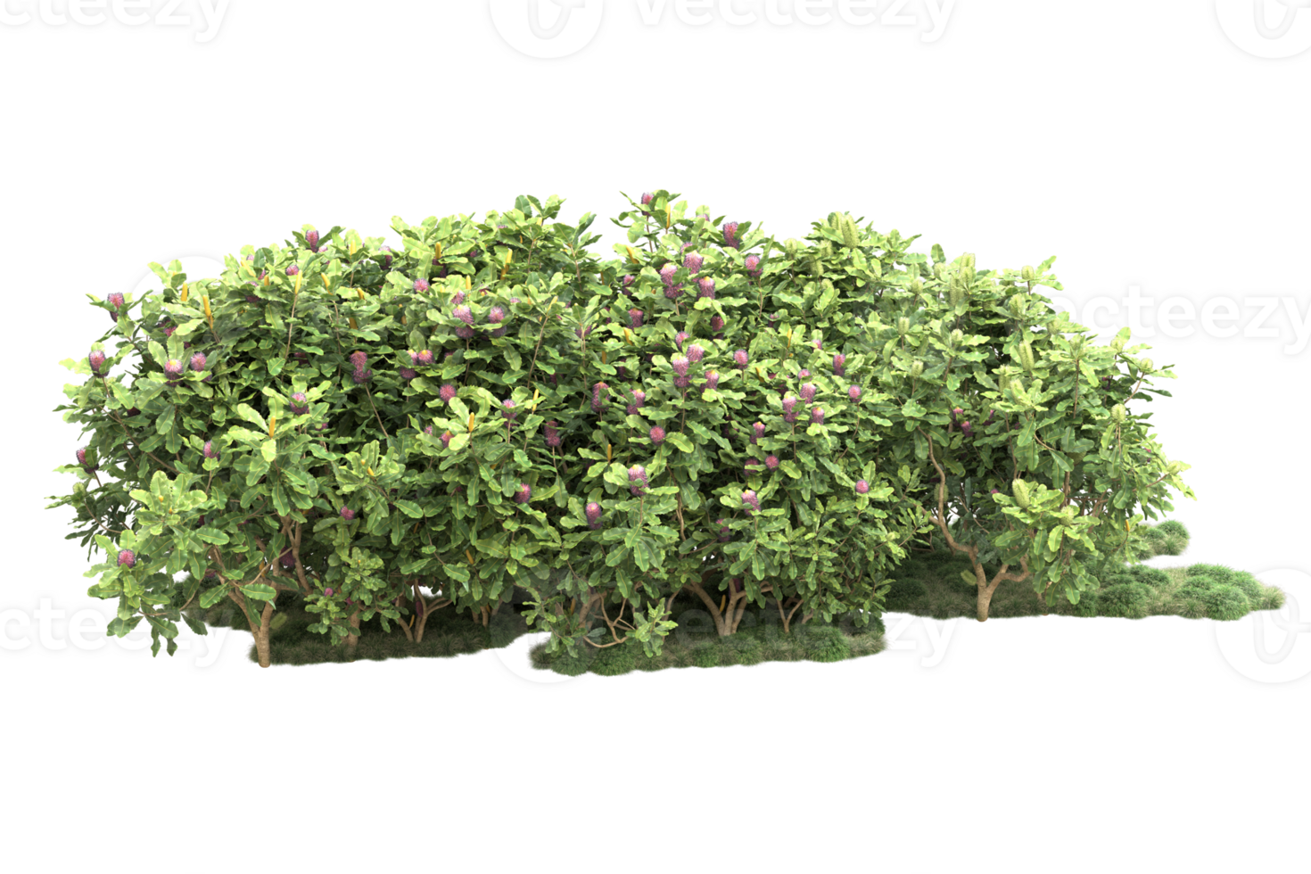 Realistic forest isolated on transparent background. 3d rendering - illustration png