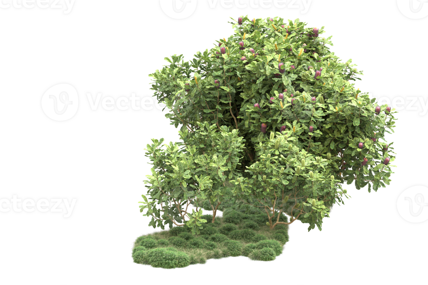 Realistic forest isolated on transparent background. 3d rendering - illustration png