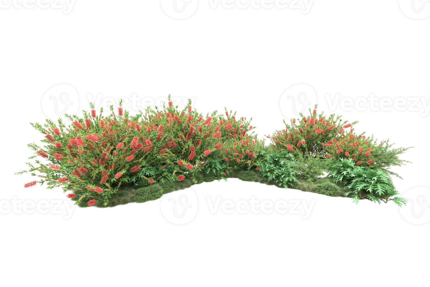 Realistic forest isolated on transparent background. 3d rendering - illustration png
