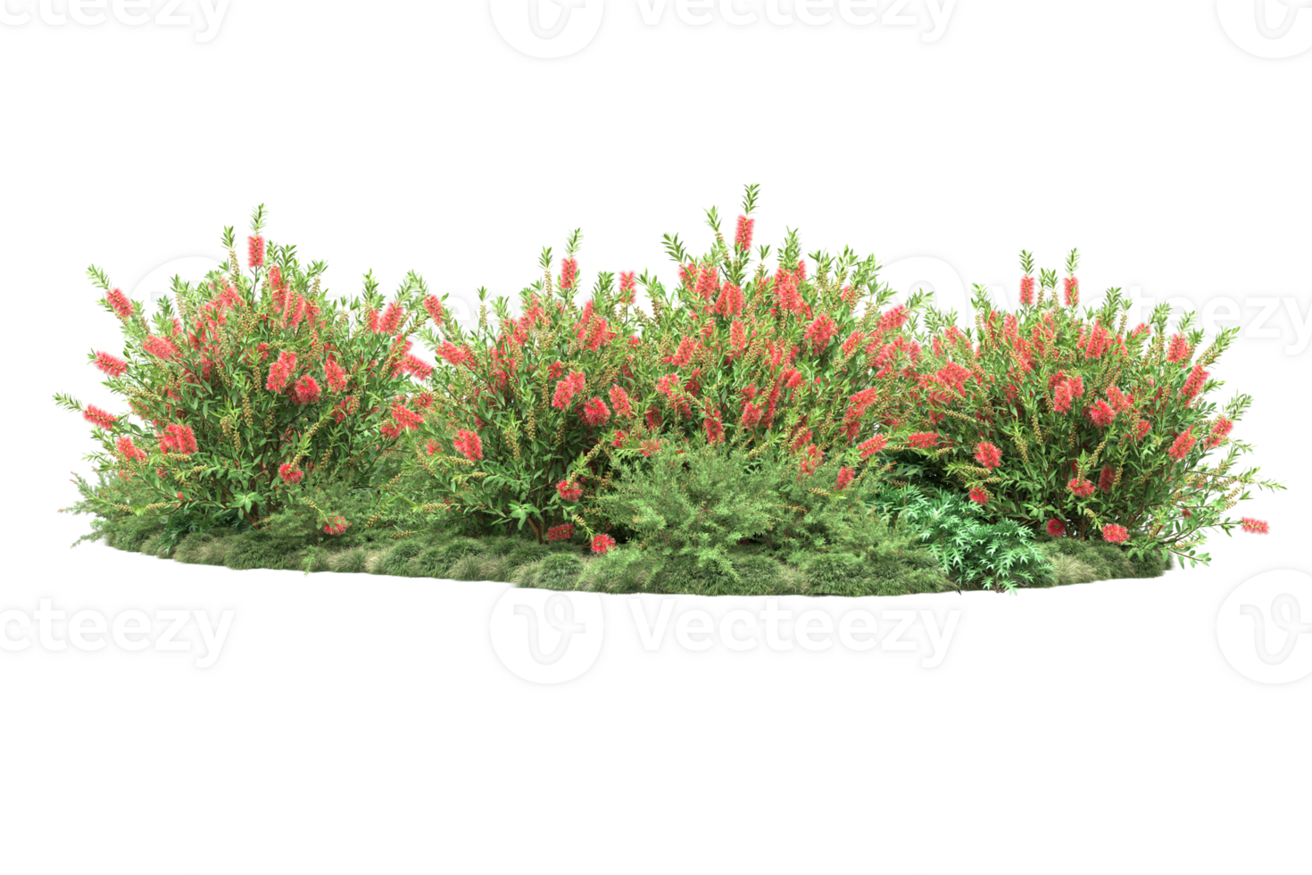 Realistic forest isolated on transparent background. 3d rendering - illustration png