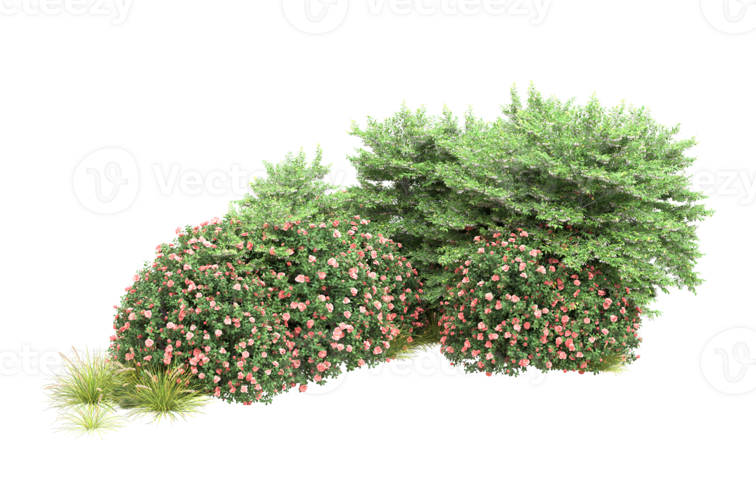 Realistic forest isolated on transparent background. 3d rendering - illustration png