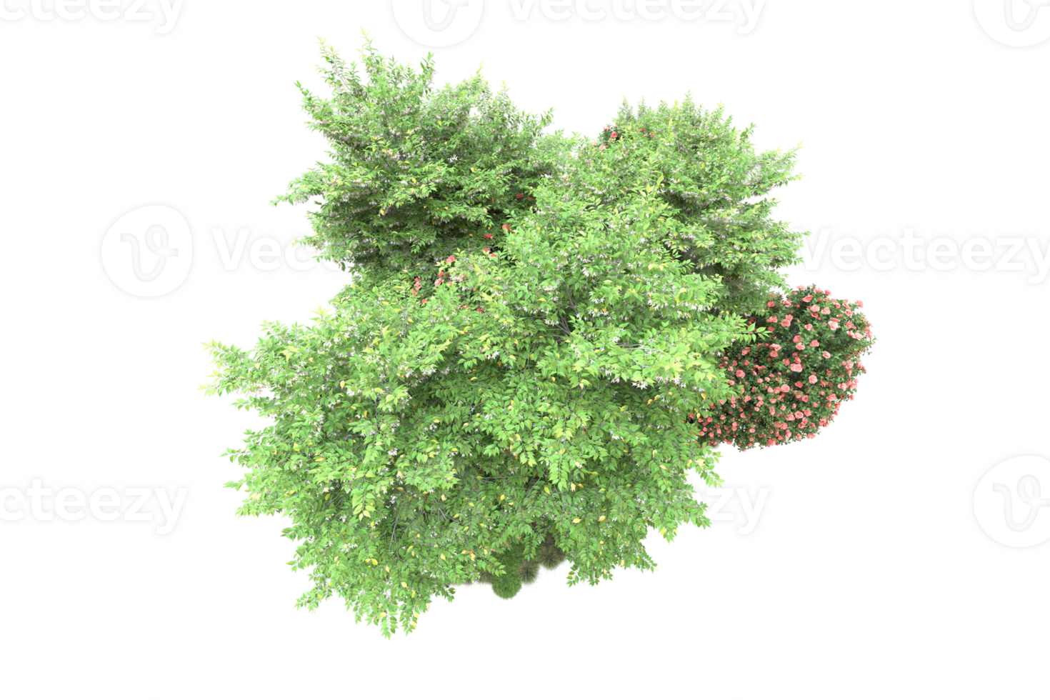 Realistic forest isolated on transparent background. 3d rendering - illustration png