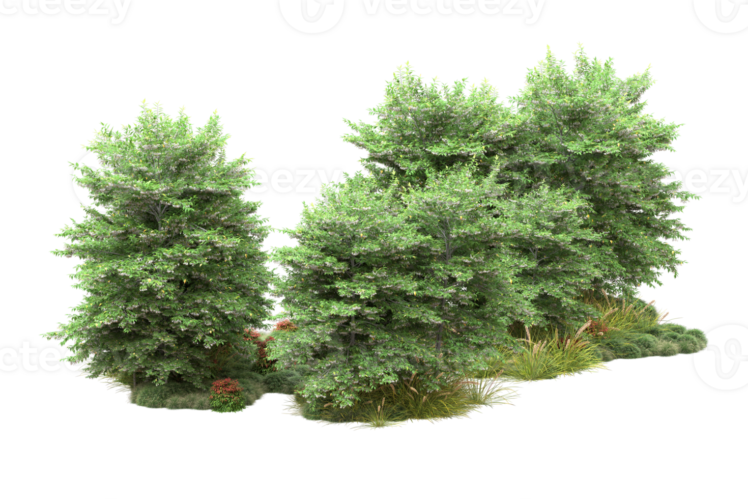 Realistic forest isolated on transparent background. 3d rendering - illustration png