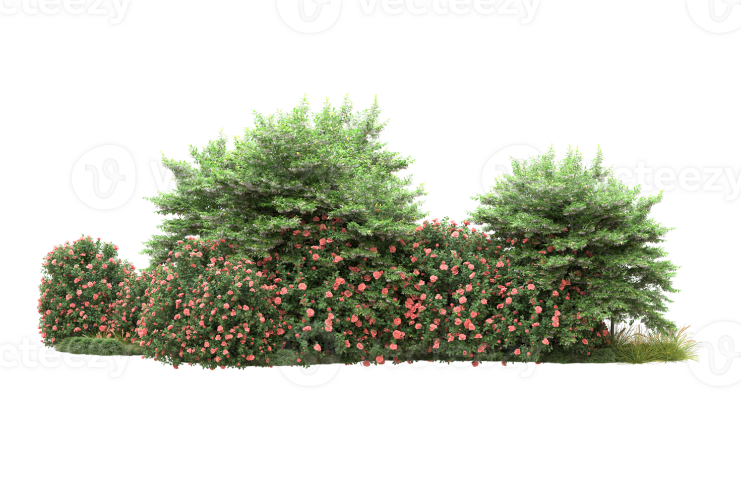 Realistic forest isolated on transparent background. 3d rendering - illustration png