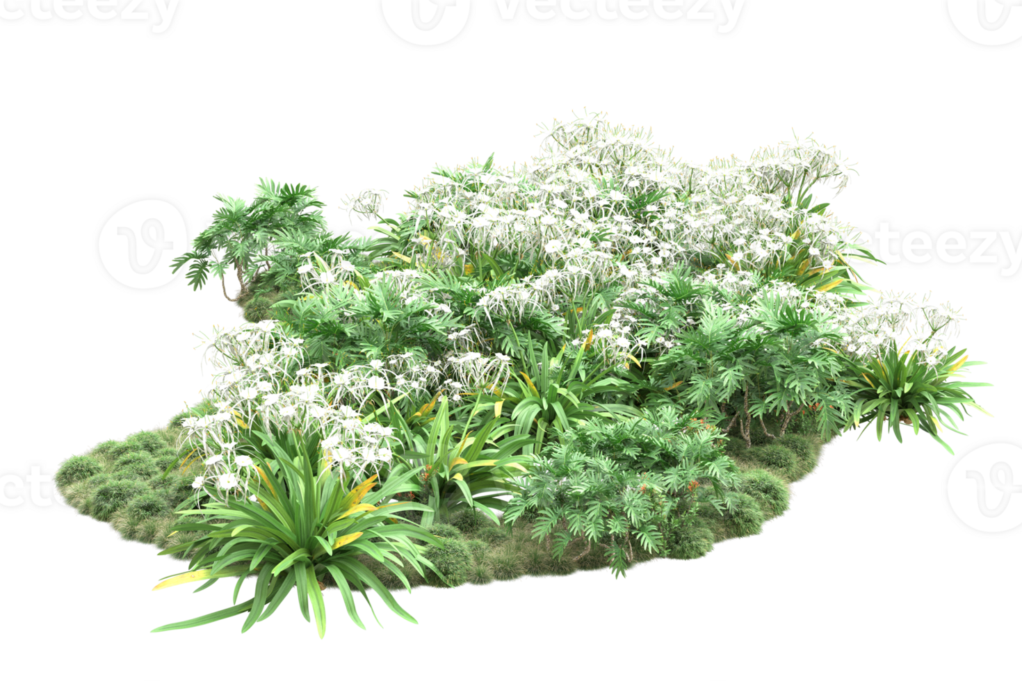Realistic forest isolated on transparent background. 3d rendering - illustration png