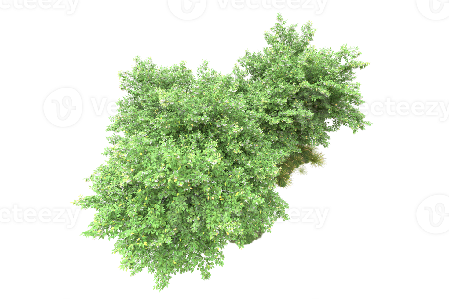 Realistic forest isolated on transparent background. 3d rendering - illustration png