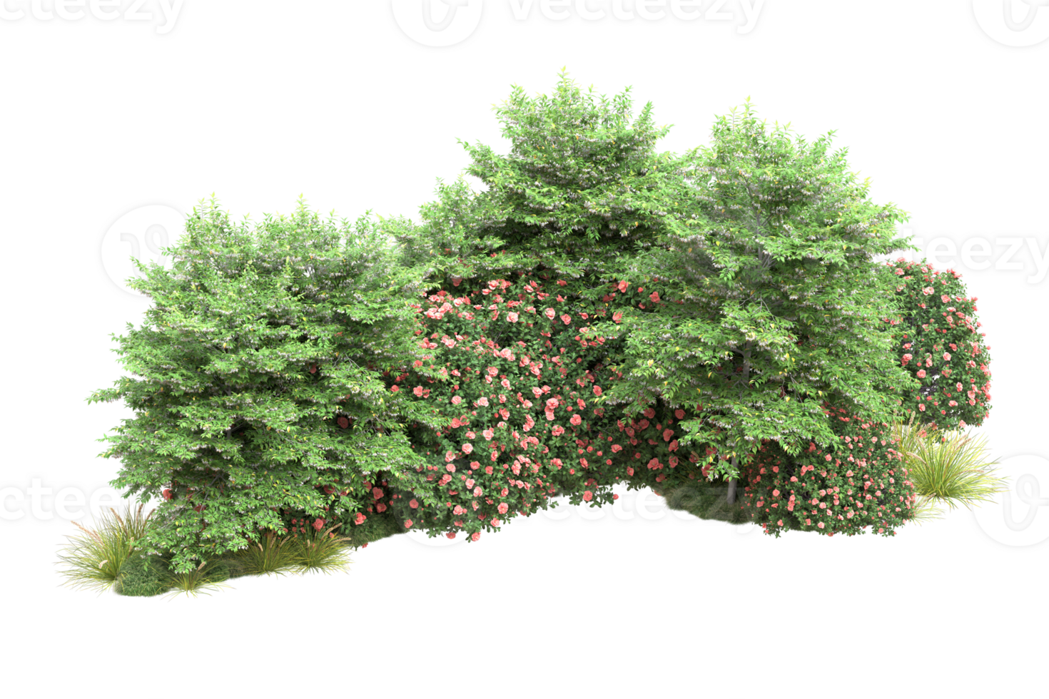 Realistic forest isolated on transparent background. 3d rendering - illustration png