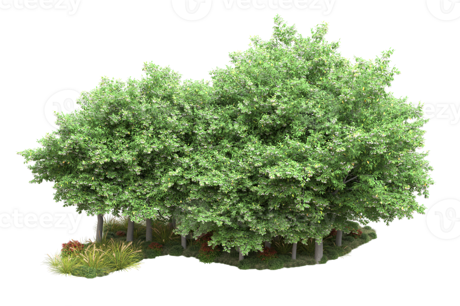 Realistic forest isolated on transparent background. 3d rendering - illustration png