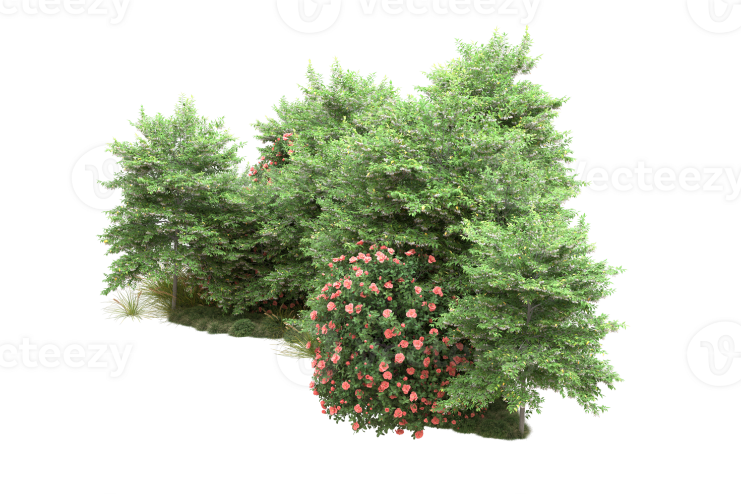 Realistic forest isolated on transparent background. 3d rendering - illustration png