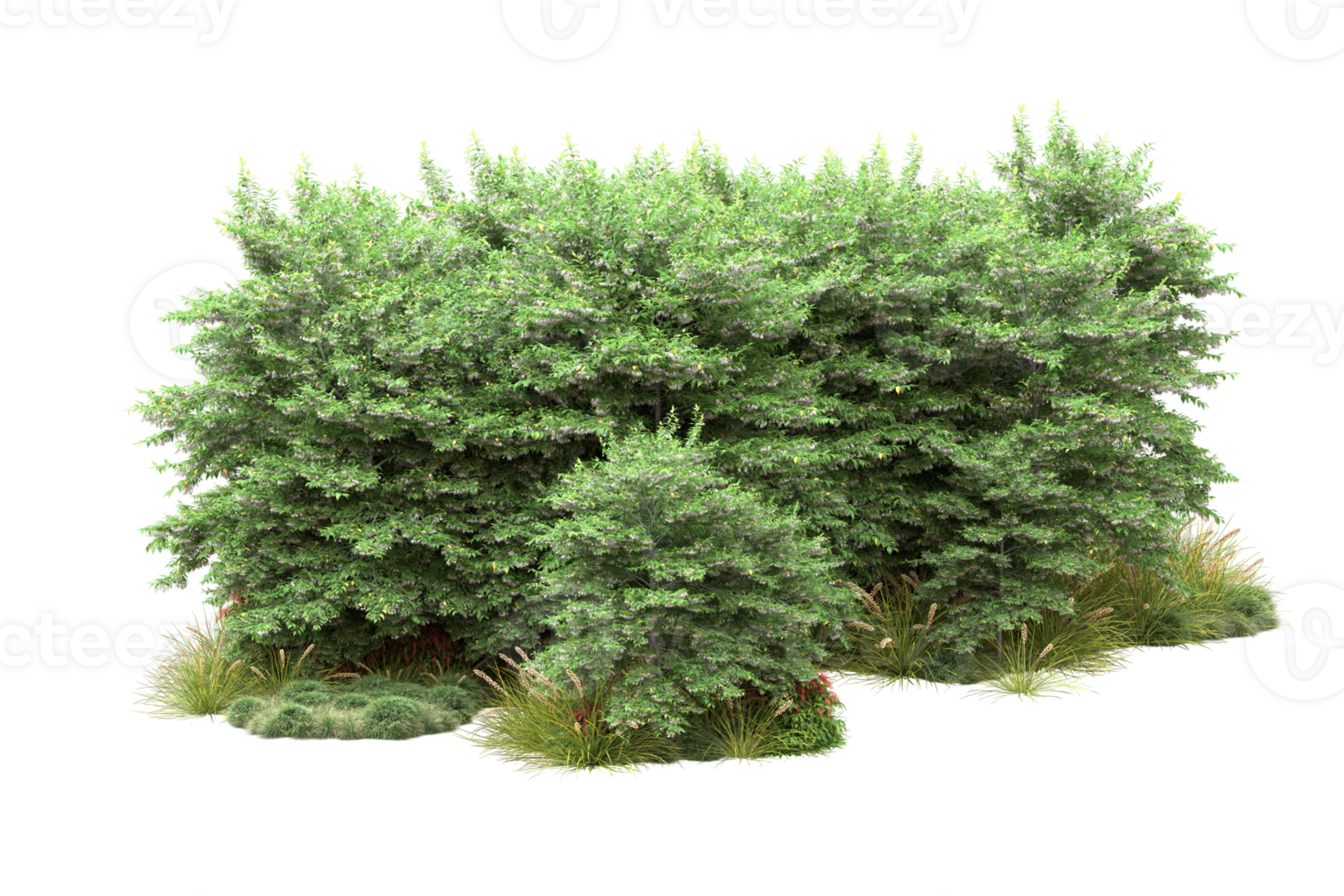 Realistic forest isolated on transparent background. 3d rendering - illustration png