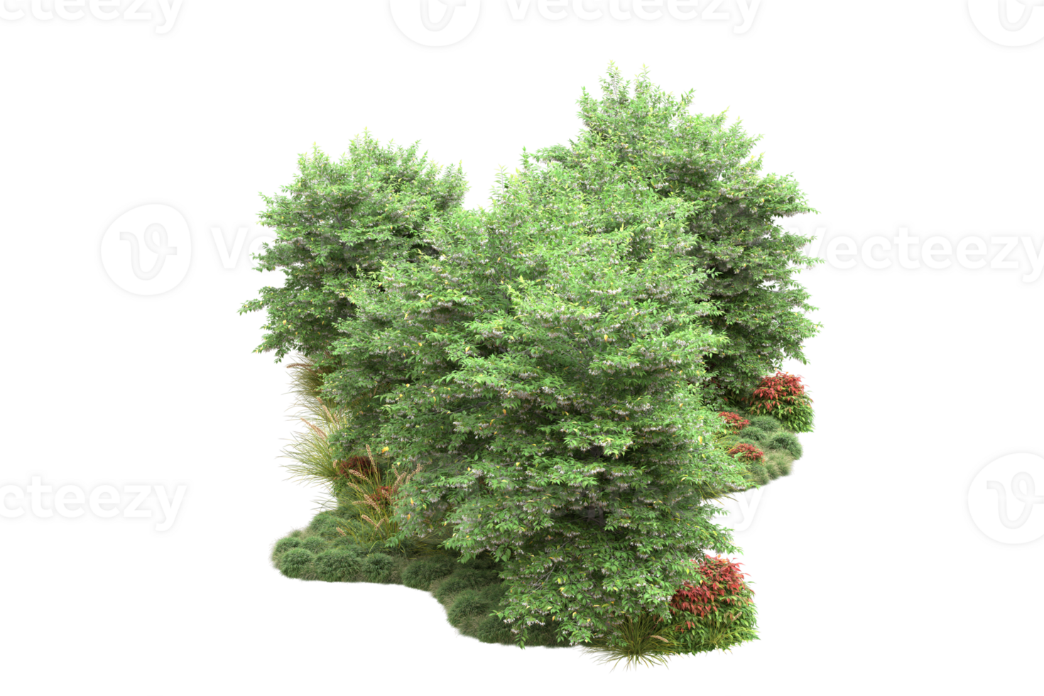 Realistic forest isolated on transparent background. 3d rendering - illustration png