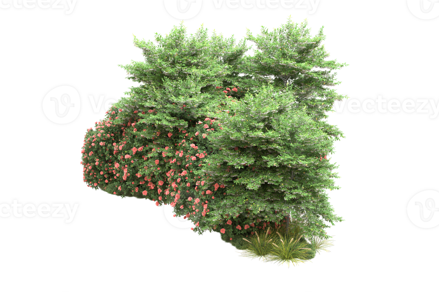 Realistic forest isolated on transparent background. 3d rendering - illustration png