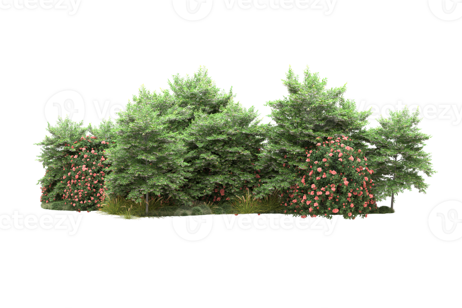 Realistic forest isolated on transparent background. 3d rendering - illustration png