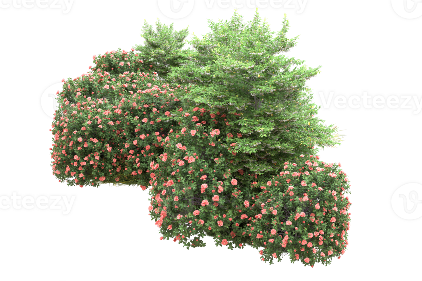 Realistic forest isolated on transparent background. 3d rendering - illustration png